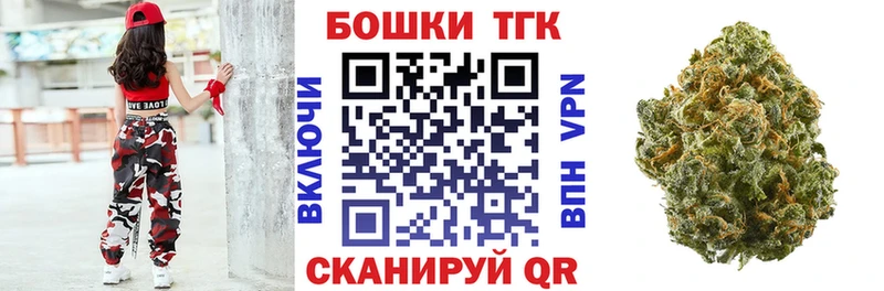 APVP Пестово