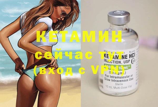 сатива Верея