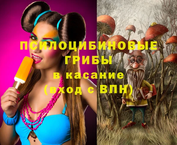 сатива Верея