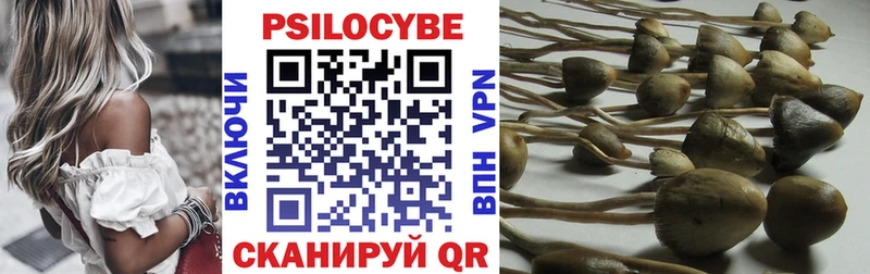 Псилоцибиновые грибы Psilocybe Пестово